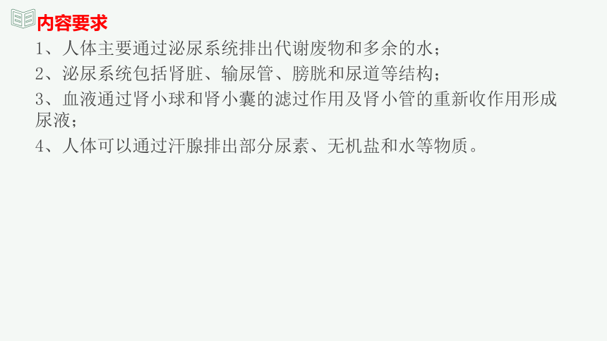 专题13 人体内废物的排出（课件精讲）-2023-2024年中考一轮复习精讲精练（全国通用）(共23张PPT)