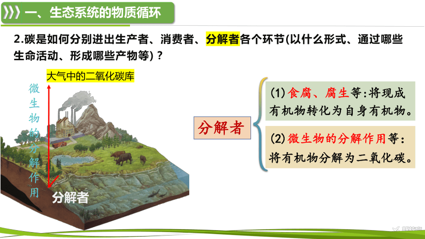高中生物人教版（2019）选择性必修2课件：3.3.1 生态系统的物质循环及与能量流动的关系(共25张PPT)