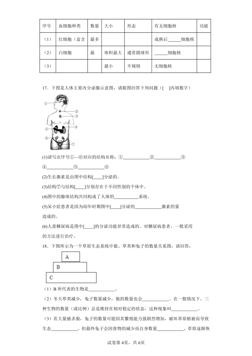 2023-2024学年初中生物苏科版八年级上册期末测试模拟卷（答案+解析）