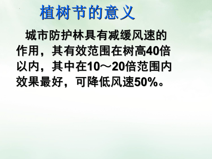 植树节主题班会 课件(共20张PPT)