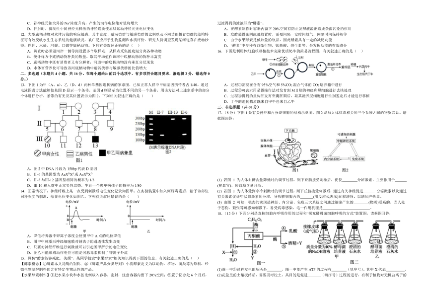 江西省部分学校2023-2024学年高三上学期期中考试生物试题(有答案)