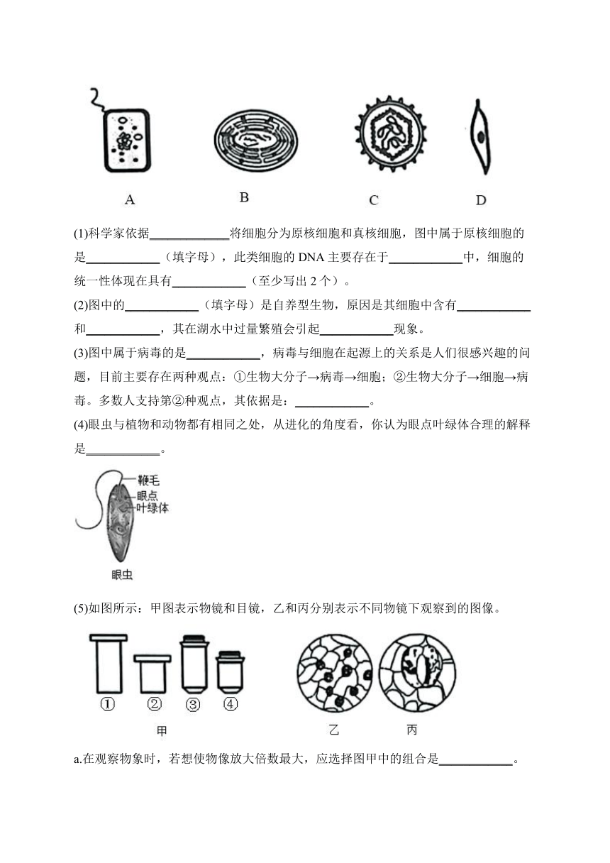 福建省宁德市寿宁县2022-2023学年高一11月期中生物试题(含解析)