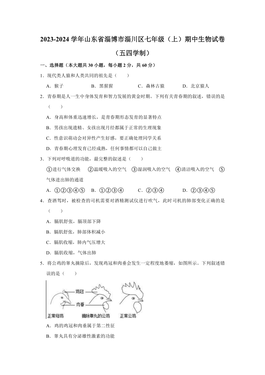 山东省淄博市淄川区2023-2024学年七年级上学期期中生物试题（五四学制）（含答案）