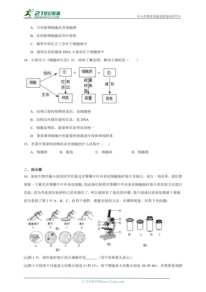 2023-2024学年初中生物济南版七年级上册期末复习专题3——细胞的结构与功能（含解析）