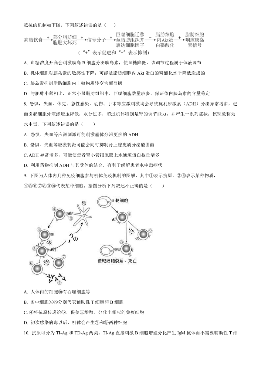 山东省德州市实验中学2023-2024学年高二上学期期中考试生物（含解析）