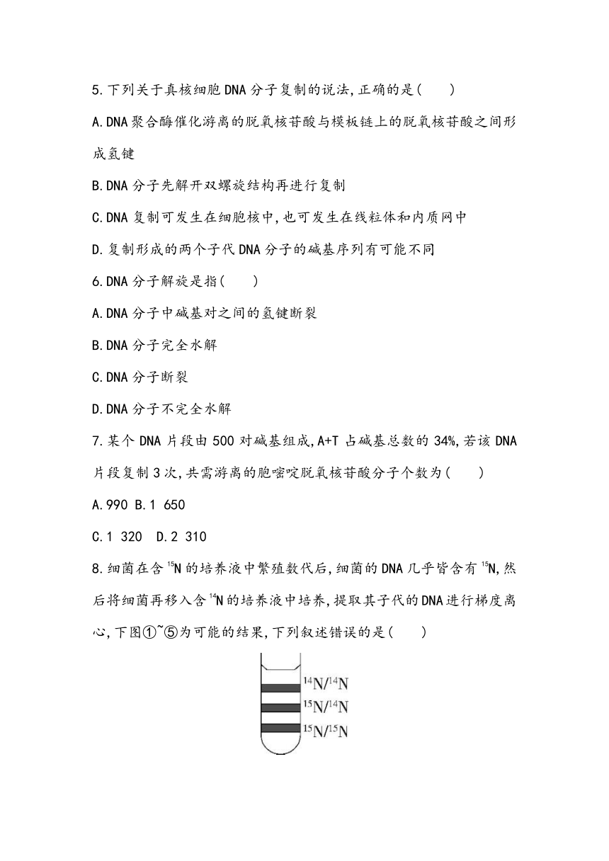 3.3《DNA的复制》课时同步练2023~2024学年高中生物人教版（2019）必修2（含答案）