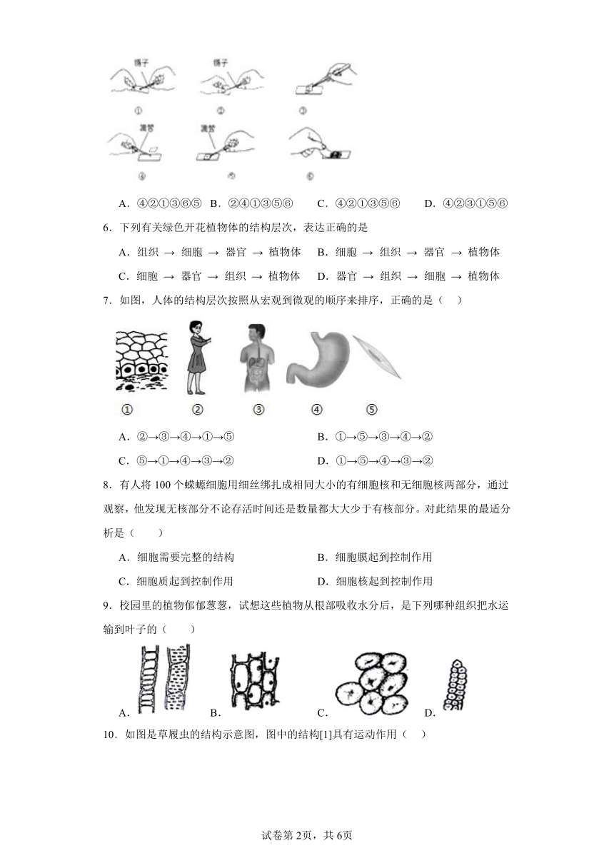 2023-2024学年初中生物北师大版七年级上册期末复习专题2细胞与生物体（答案 +解析）
