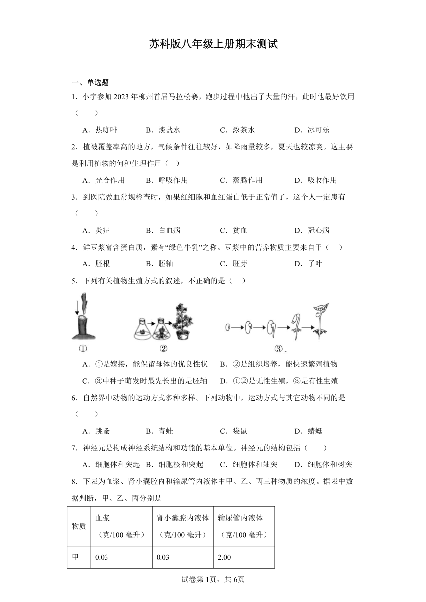 2023-2024学年初中生物苏科版八年级上册期末测试模拟卷2（答案+解析）