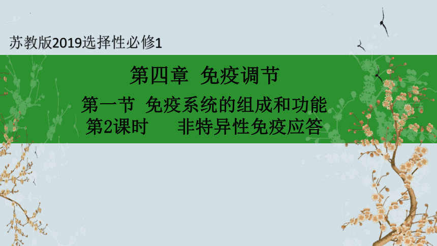 3.1人体的免疫应答（第2课时）（共15张PPT+2个视频）高二生物上册(苏教版2019选择性必修1)