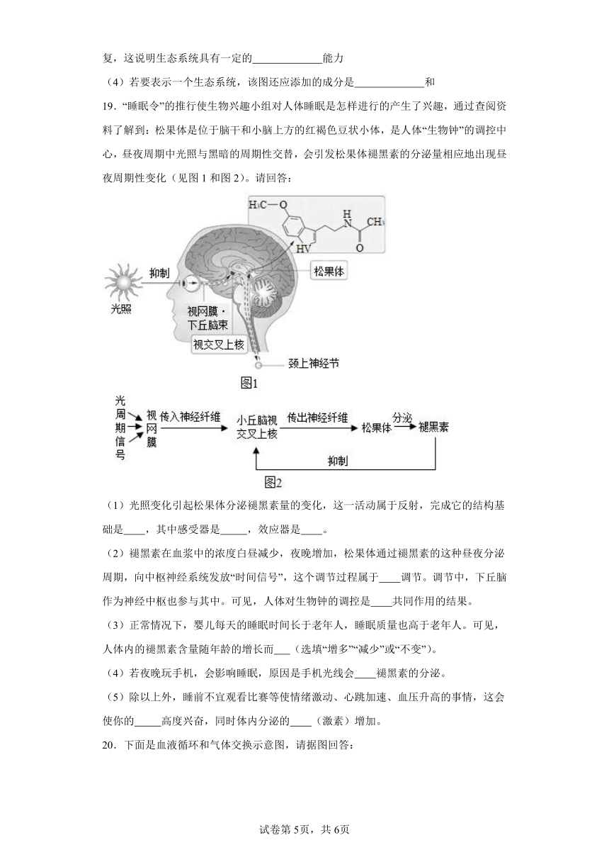 2023-2024学年初中生物苏科版八年级上册期末测试模拟卷（答案+解析）