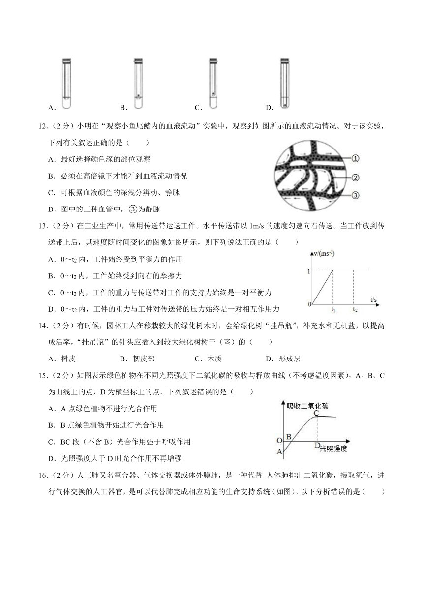 浙江省宁波市慈溪市2022-2023学年八年级上学期期末科学试卷（含答案）