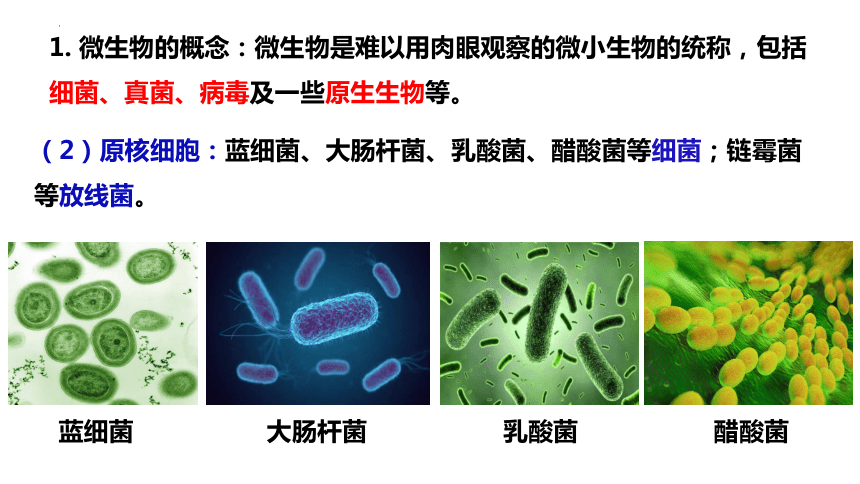 1.2 微生物的培养技术及应用课件(第1课时）（共58张PPT）-生物人教版（2019）选择性必修三
