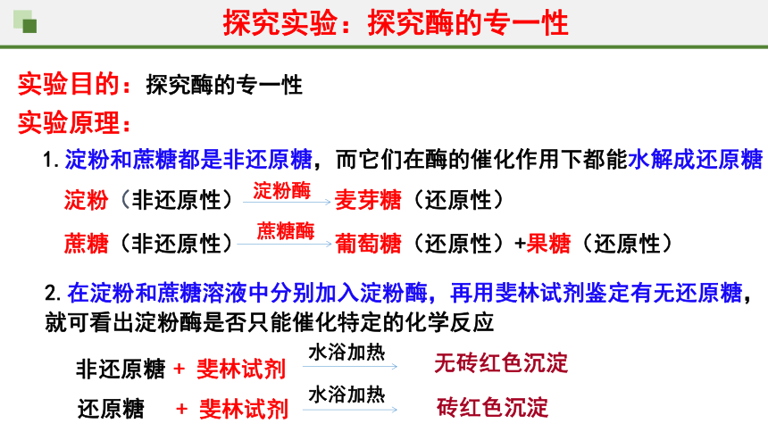 5.1降低化学反应活化能的酶第2课时课件(共30张PPT2份视频)2023-2024学年高一上学期生物人教版必修1