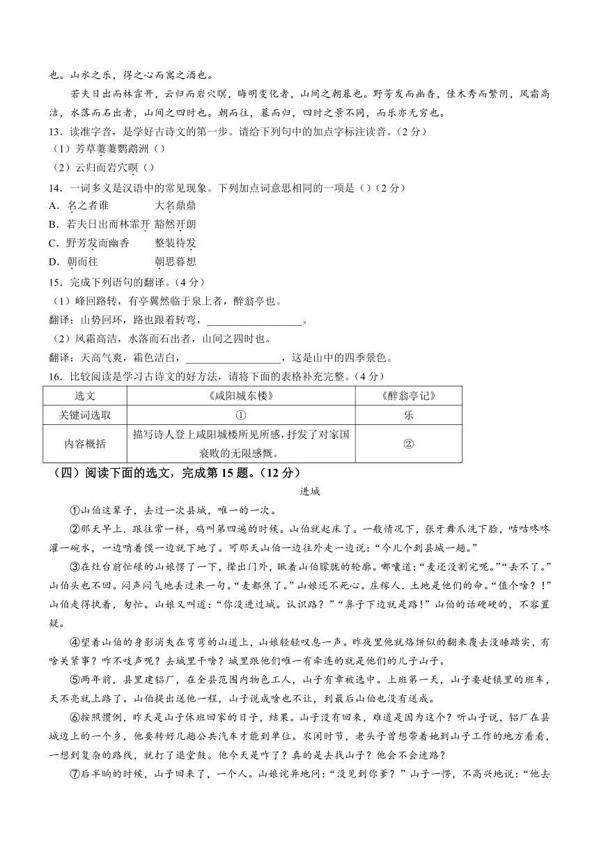 山东省临沂市郯城县2023-2024学年九年级上学期期中语文试题（含答案）