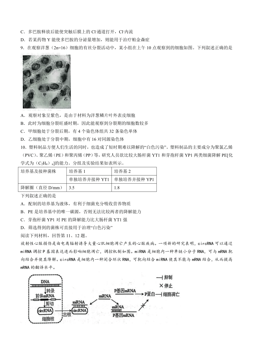 浙江省Z20名校联盟2023-2024学年高三上学期第二次联考生物学试题（含答案）