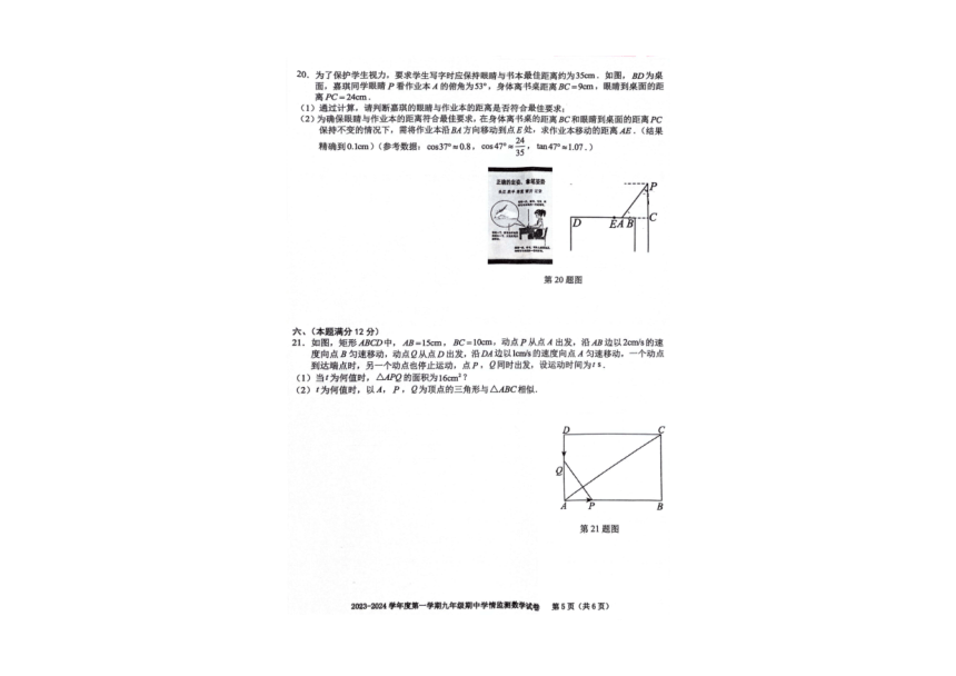 安徽省合肥市三十八中2023-2024学年第一学期九年级期中数学试卷（含答案）