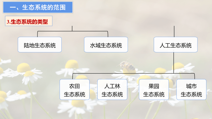 高中生物人教版（2019）选择性必修2课件：3.1 生态系统的结构(共41张PPT)