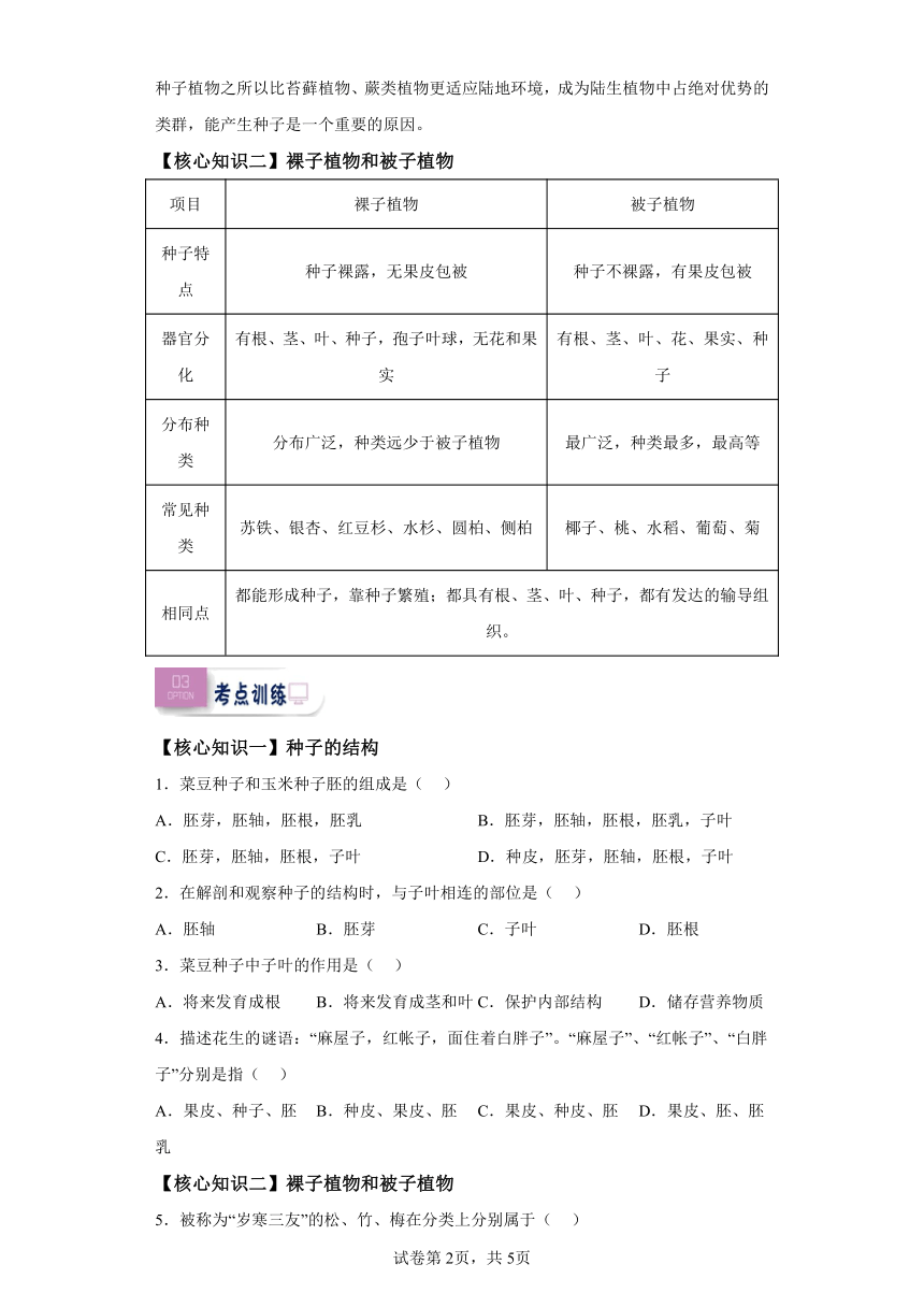 第12讲种子植物——裸子植物和被子植物 人教版七年级初中生物暑假练习（含解析）