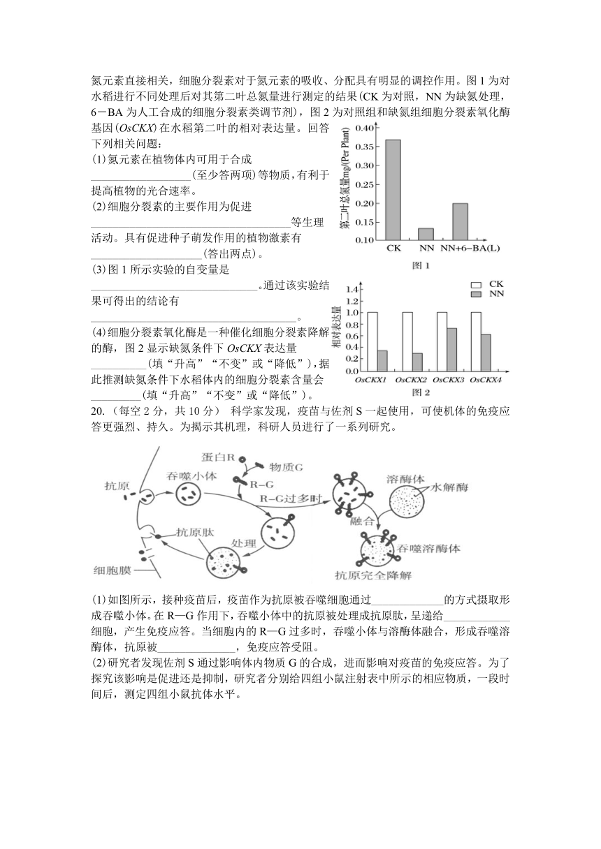 湖南省株洲市炎陵县2023-2024学年高二上学期12月期中考试生物学试题（含答案解析）