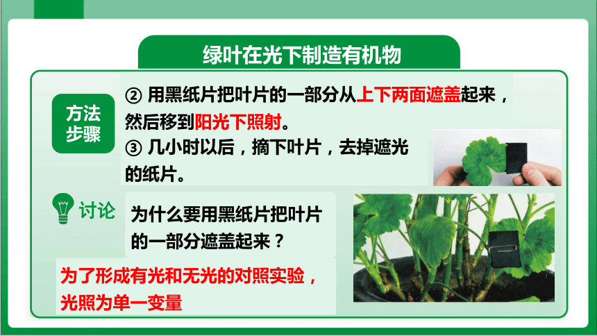 3.4_第4章绿色植物是生物圈中有机物的制造者（课件）【2023秋人教七上生物高效实用备课】(共34张PPT)