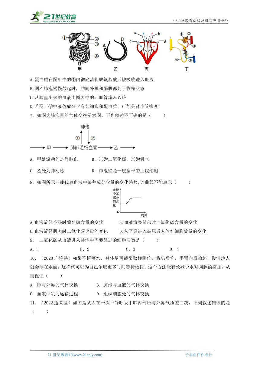 2024华师大版科学八上期末冲刺系列之第五章人体物质和能量转化（含答案）