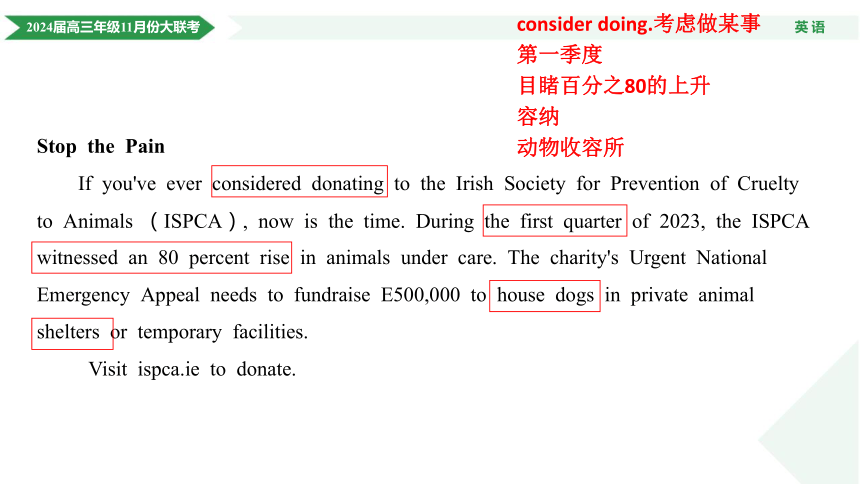 2024届衡水金卷高三年级11月份大联考英语评讲课件(共43张PPT)