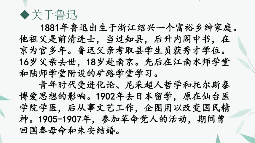 40《伤逝》 课件  (共35张PPT)《大学语文》（高教版）