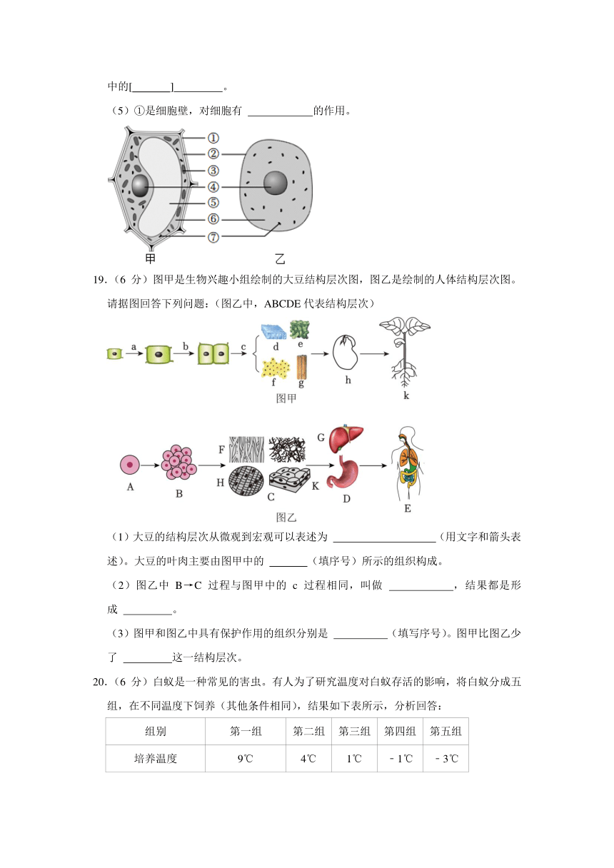 2023-2024学年广西百色市右江区七年级（上）期中生物试卷（含解析）