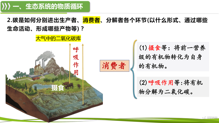 高中生物人教版（2019）选择性必修2课件：3.3.1 生态系统的物质循环及与能量流动的关系(共25张PPT)