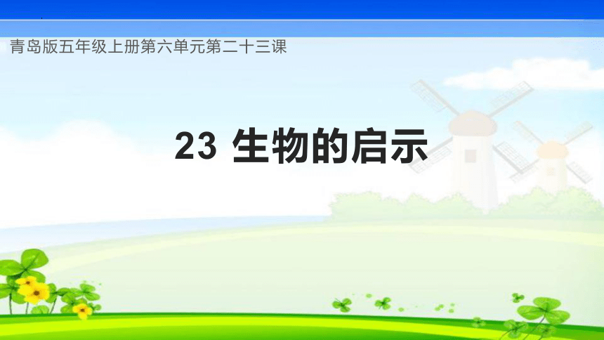 第23课 生物的启示（教学课件）(共28张PPT+视频)五年级科学上册同步高效课堂系列（青岛版）