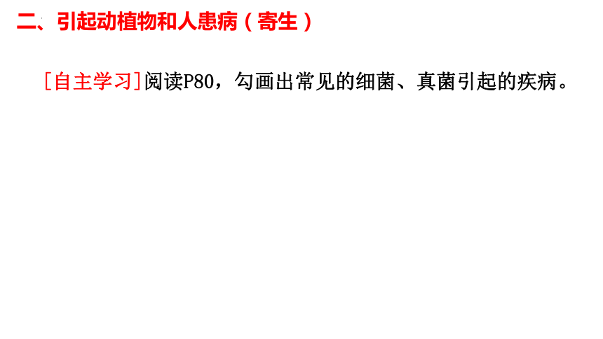 5.4.4细菌和真菌在自然界中的作用课件 (共20张PPT)人教版生物八年级上册