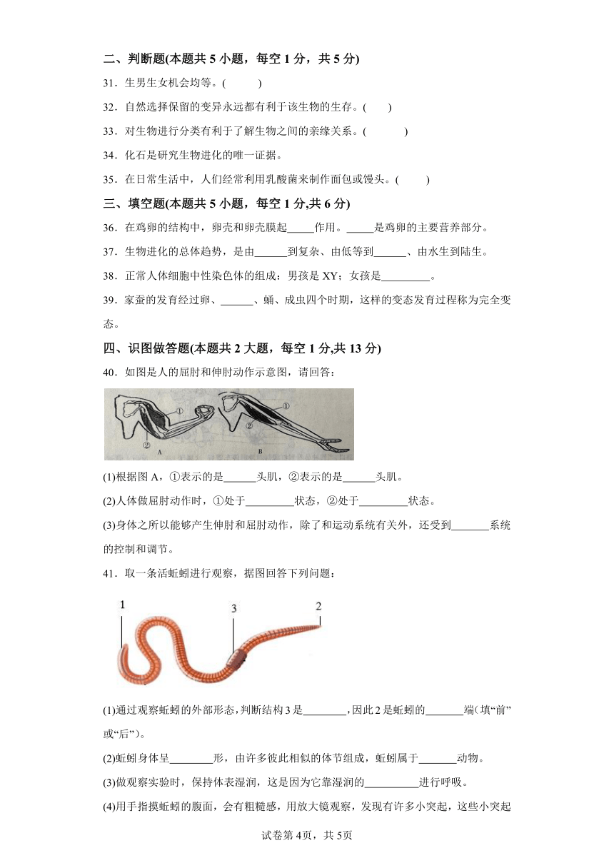 黑龙江省绥化市绥棱县克音河乡学校2023-2024学年七年级上学期月考生物试题（含解析）