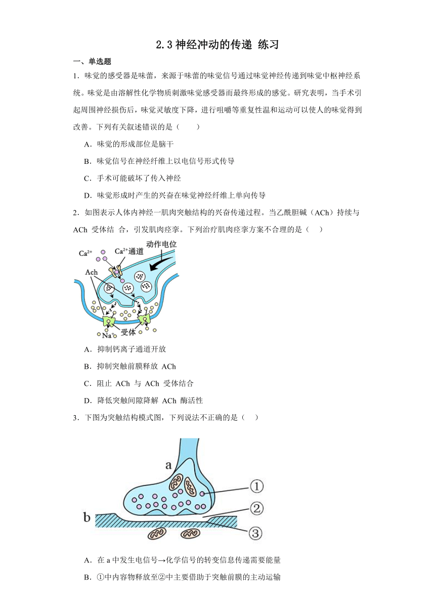 2.3神经冲动的传递 练习（含答案解析）