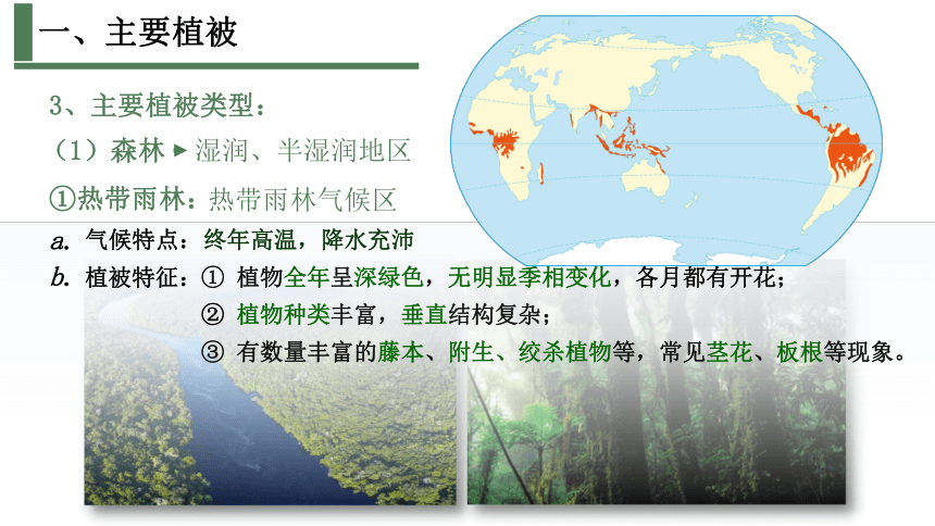 5.1主要植被与自然环境课件2023-2024学年高中地理湘教版（2019）必修一（58张）