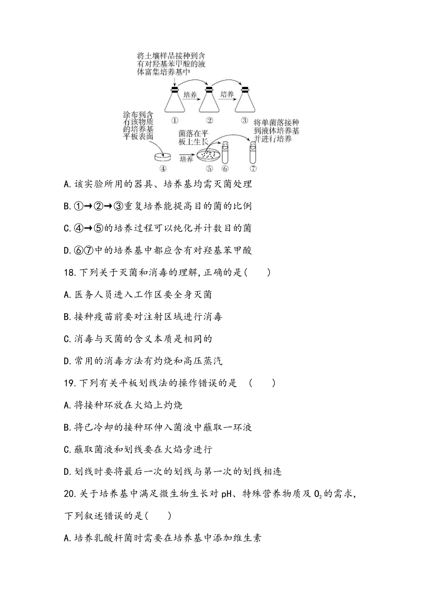 1.2《微生物的培养技术及应用》课时同步练2023~2024学年高中生物人教版（2019）选择性必修3（含答案）