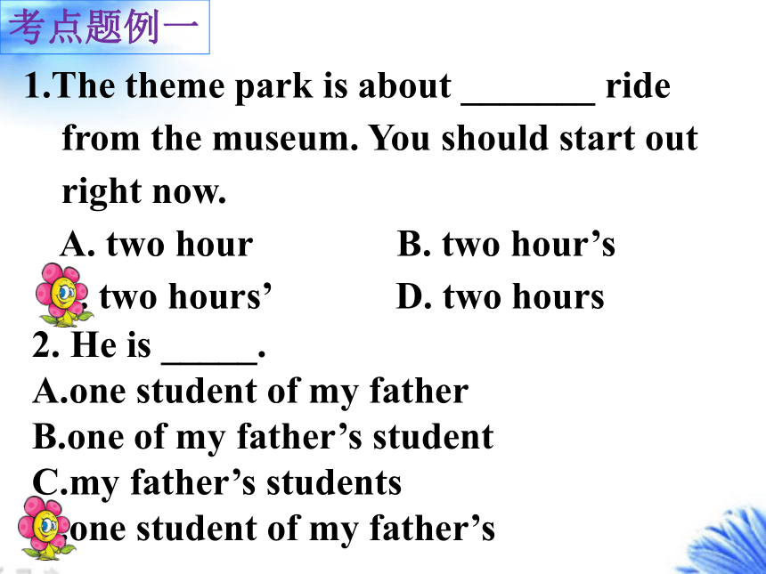 2019届二轮复习语法专题 名词 课件 (共21张PPT)