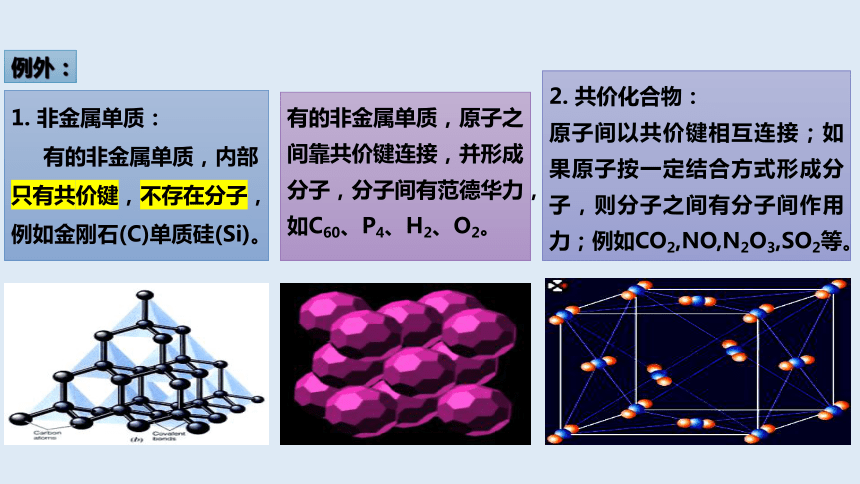 2.3.3分子结构与物质的性质  课件(共21张PPT)  人教版（2019）选择性必修2