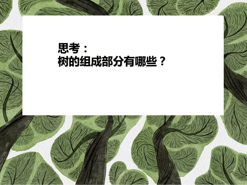 岭南版美术四年级上册13 千姿百态的树 课件 (共22张PPT)