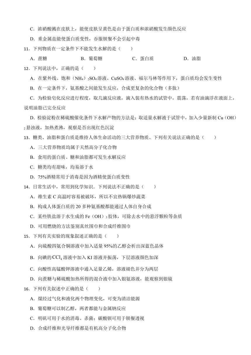 第四章 生物大分子 测试题（含解析） 2023-2024学年高二下学期化学人教版（2019）选择性必修3