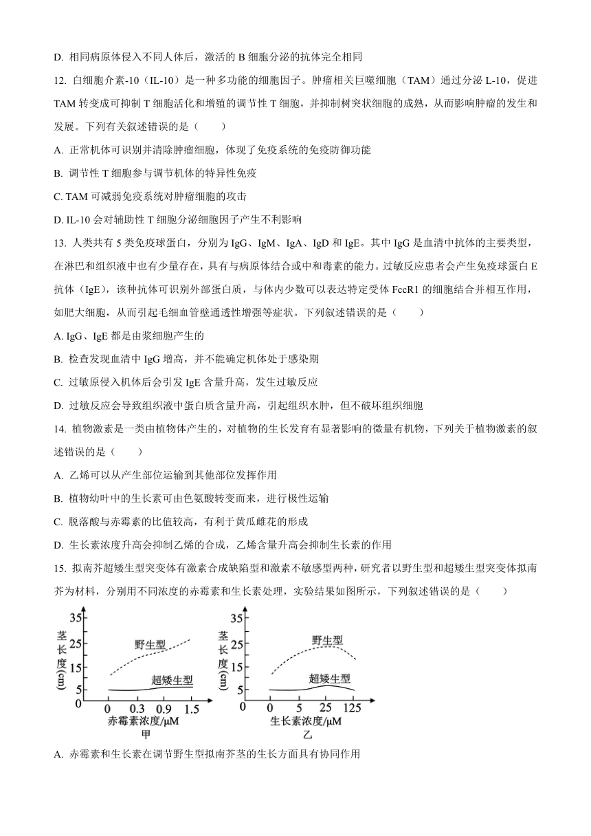 山东省烟台市2023-2024学年高二上学期期中考试生物（含解析）