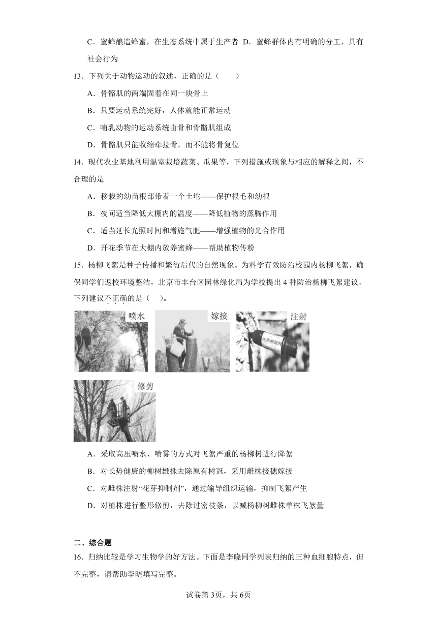 2023-2024学年初中生物苏科版八年级上册期末测试模拟卷（答案+解析）