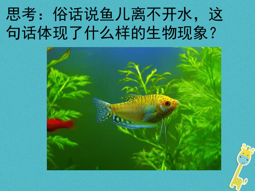 生物的生存依赖一定环境课件  31张PPT