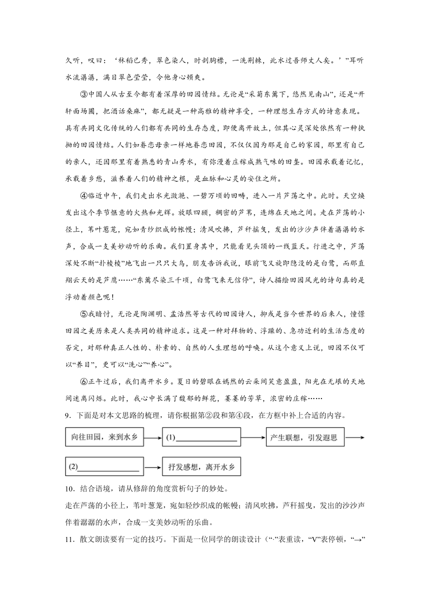 河南省漯河市临颍县2023-2024学年七年级上学期期中语文试题（含解析）