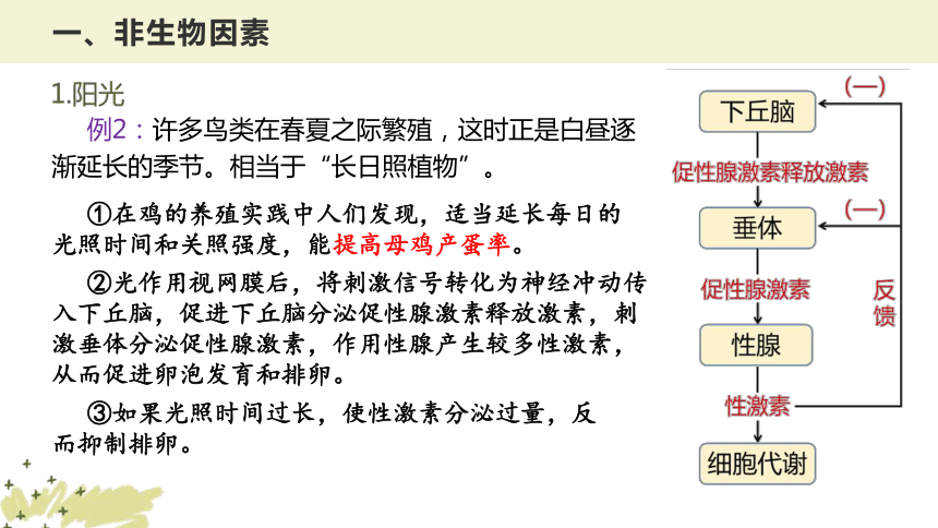 高中生物学人教版（2019）选择性必修2同步课件：1.3 影响种群数量变化的因素(共35张PPT)