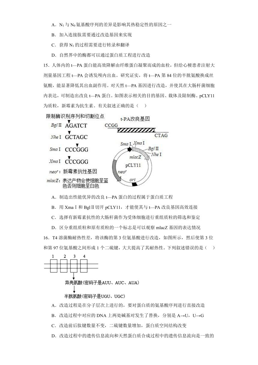 3.4蛋白质工程的原理和应用 练习（含解析）