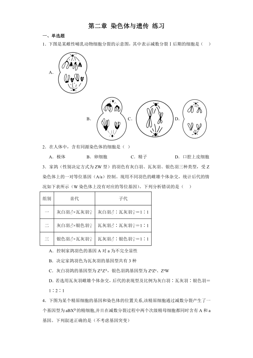 第二章 染色体与遗传 单元测试卷（解析版）