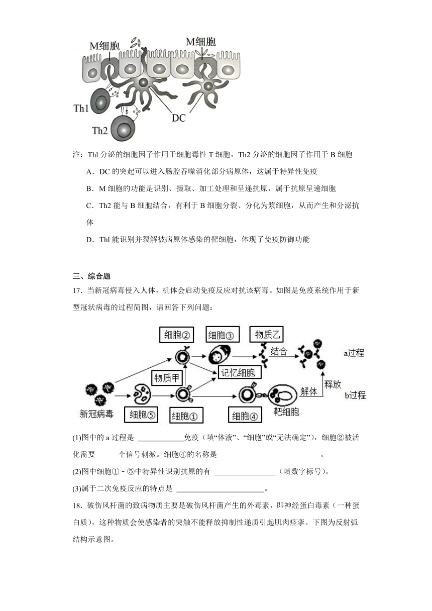 4.3特异性免疫 练习（含解析）