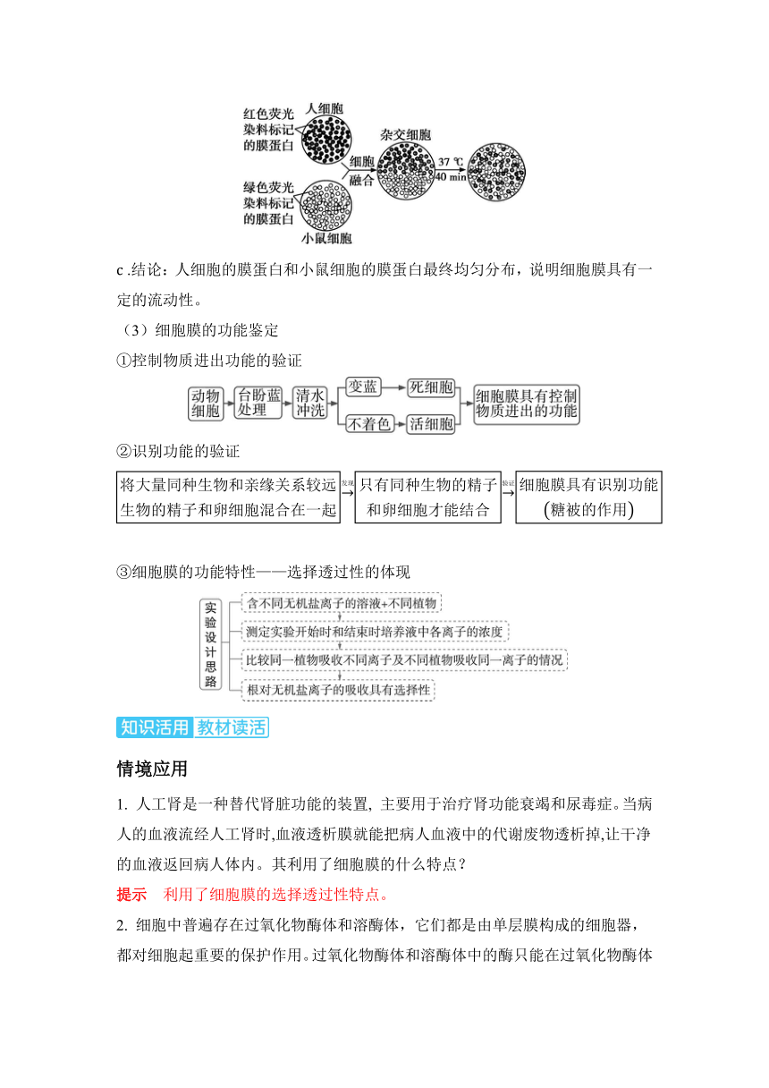 生物学高考备考学案：2-1  细胞膜和细胞核的结构和功能（含答案）