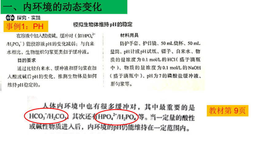 （新教材）人教版（2019）高中生物 选择性必修1 1.2 内环境的稳态  课件(共33张PPT)