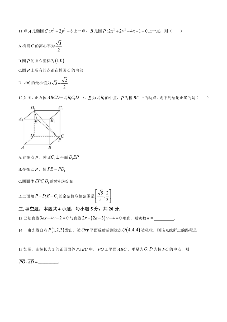 河南省郑州市中原区学森实验学校2023-2024学年高二上学期期中考试数学试卷（含解析）